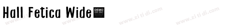 Hall Fetica Wide字体转换